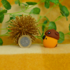 Création Fimo de Kokovoli – Image 3